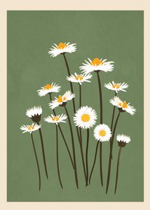 White Daisies on Green by Flow Line