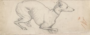 Study of a Greyhound by Ford Madox Brown