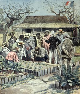 The French Teach Agriculture to the Natives in Madagascar in 1897