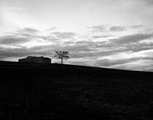 House on the Hill