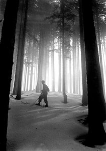 Vallombrosa: Cathedral of the Fir Trees