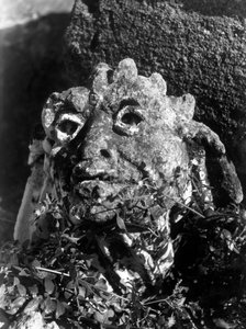 Villa Palagonia in Bagheria: Head of Fallen Statue among Twigs