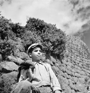 Young Sardinian Shepherd
