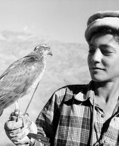 Young Falconer of Chitral on the Hindu-Kush
