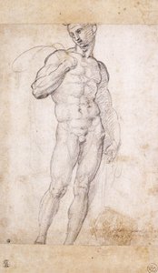 A Nude holding a Cape over his Shoulders