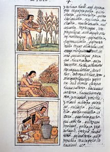 Scenes of peasant life, wheat harvest, ginning on mat and stocking in jars, text in Nahuati, from facsimile of manuscript General History of Things of New Spain, also known as Florentine Codex, by Bernardino de Sahagun