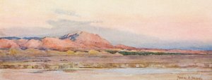 Evening on the Sahara