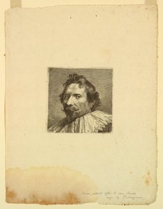 Male Portrait