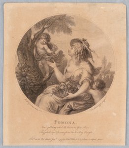 Pomona