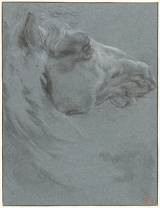 Head of a Horse by Francesco Giuseppe Casanova