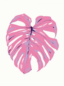 Tropical Pink Monstera by Francesco Gulina