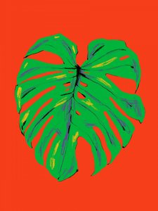 Vibrant Monstera Leaf by Francesco Gulina