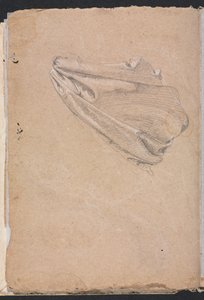 Verona Sketchbook: Drapery study (page 6)