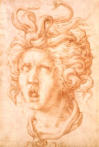 Medusa by Francesco de Rossi Salviati Cecchino