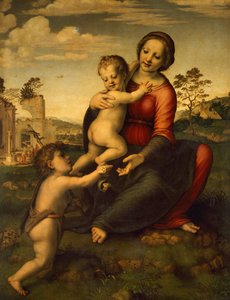 Our Lady of the Well by Francesco di Cristofano Franciabigio