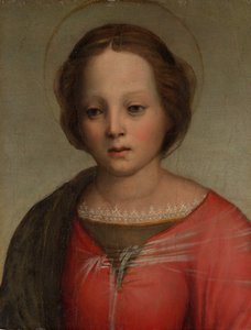 Head of the Madonna