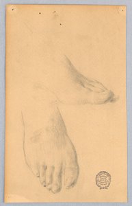 Study of Feet