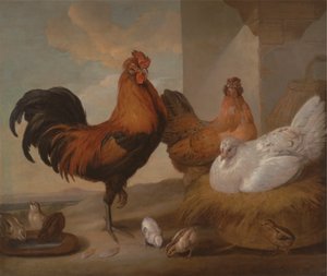 Domestic Cock, Hens, and Chicks by Francis Barlow