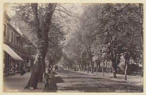 Cheltenham, the Promenade by Francis Bedford