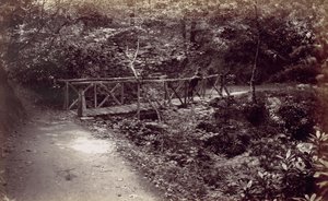 Colwyn Bay. Rustic Bridge in the Wood by Francis Bedford