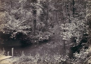Colwyn Bay. The Pool in the Wood by Francis Bedford