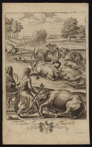 Cattle plague
