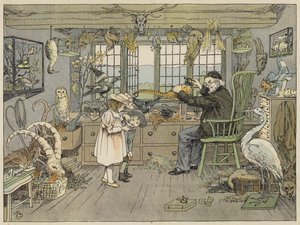 Bird-Stuffer by Francis Donkin Bedford
