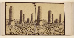 Barren columns in desert, possibly at Thebes by Francis Frith