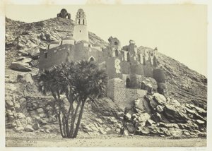 Doum Palm and Ruined Mosque, Philae by Francis Frith