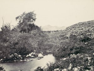 The Fountain of Jericho and Probable Site of the City by Francis Frith