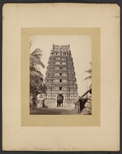 Trickaleecoondrum, The Pagoda, Gate E by Francis Frith