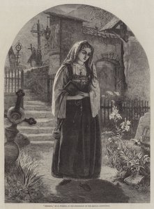Teresina by Francis John Wyburd