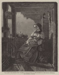 The Home of the Mountaineer by Francis John Wyburd