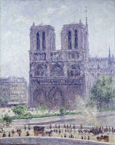 Notre Dame in the Morning Sun