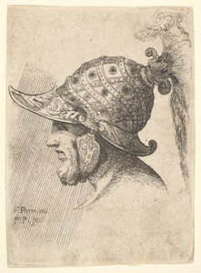 Helmeted Head