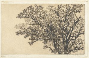 Crown of a Tree by Francis Seymour Haden (Sir) (signed by artist)