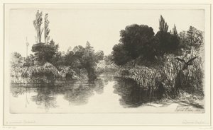 Pond