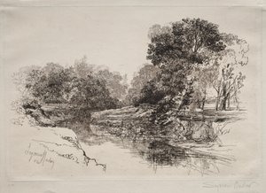 A River in Ireland by Francis Seymour Haden