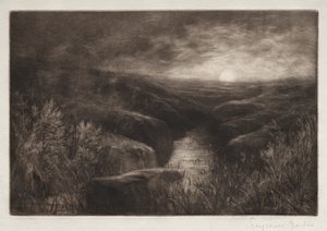 Haunt of the Mosquito by Francis Seymour Haden