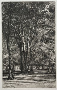 Kensington Gardens The Large Plate, 1860
