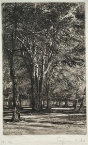 Kensington Gardens The Larger Plate