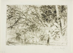 Mouth of a Brook, No. II by Francis Seymour Haden