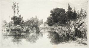 Share Mill Pond by Francis Seymour Haden