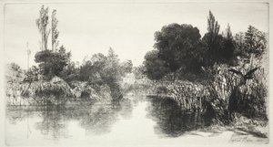 Shere Mill Pond by Francis Seymour Haden