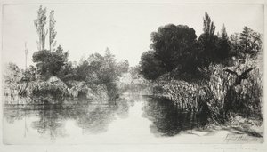 Shere Mill Pond, No. 11 (The Large Plate) by Francis Seymour Haden