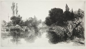 Shere Mill Pond, No. 11 The Large Plate by Francis Seymour Haden