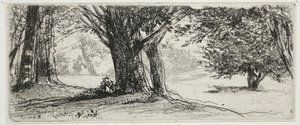 The Holly Field by Francis Seymour Haden