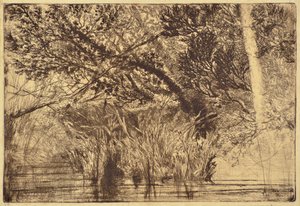 The Mouth of a Brook No.1