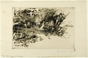 The Willows by Francis Seymour Haden