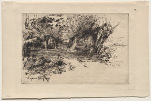 The Willows by Francis Seymour Haden